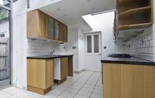 Ferndale kitchen extension leads